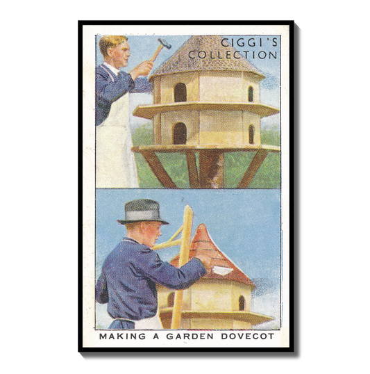 Vintage Making a Dovecot Garden Hint | 1930s Cigarette Card Art