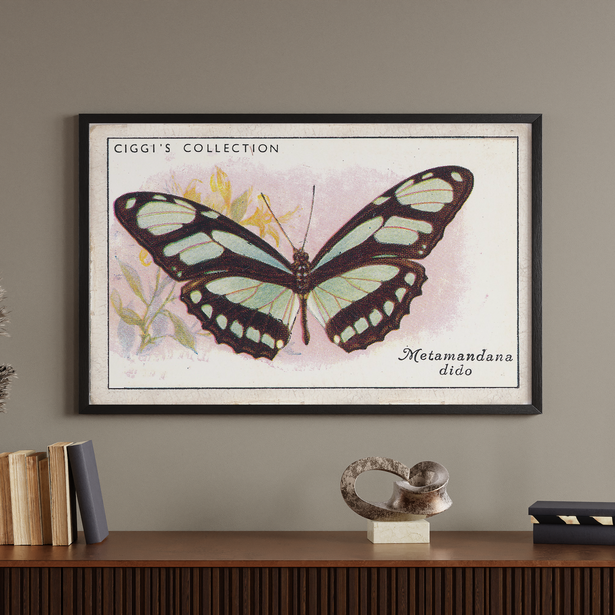 Vintage Metamandana Dido Butterfly Print | 1930s Cigarette Card Art
