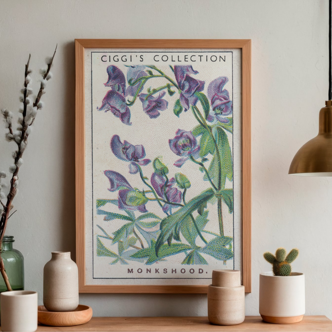 Vintage Monkshood Flower Print | 1930's Cigarette Card