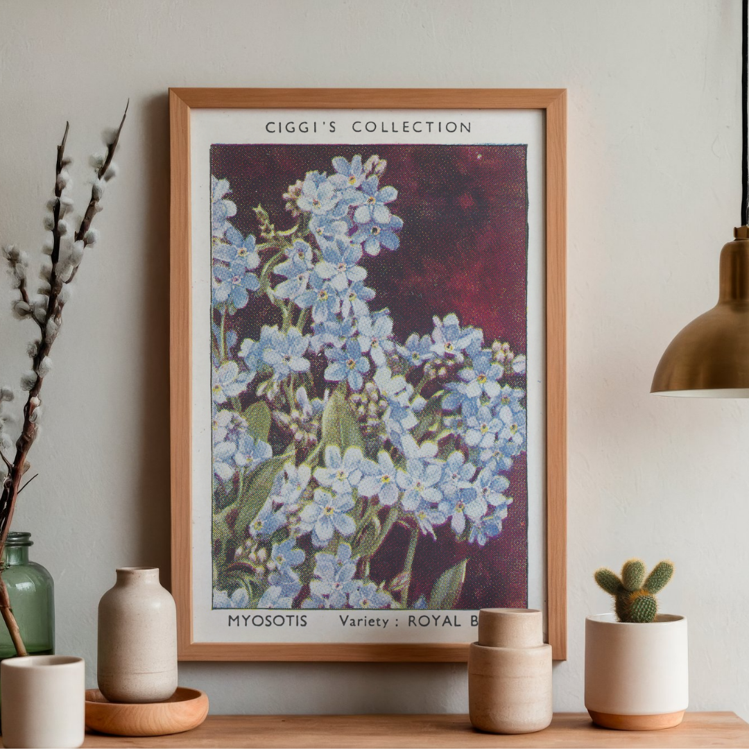 Vintage Myosotis Flower Print | 1930's Cigarette Card