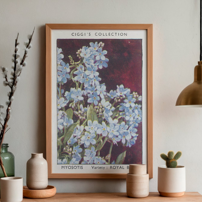 Vintage Myosotis Flower Print | 1930's Cigarette Card