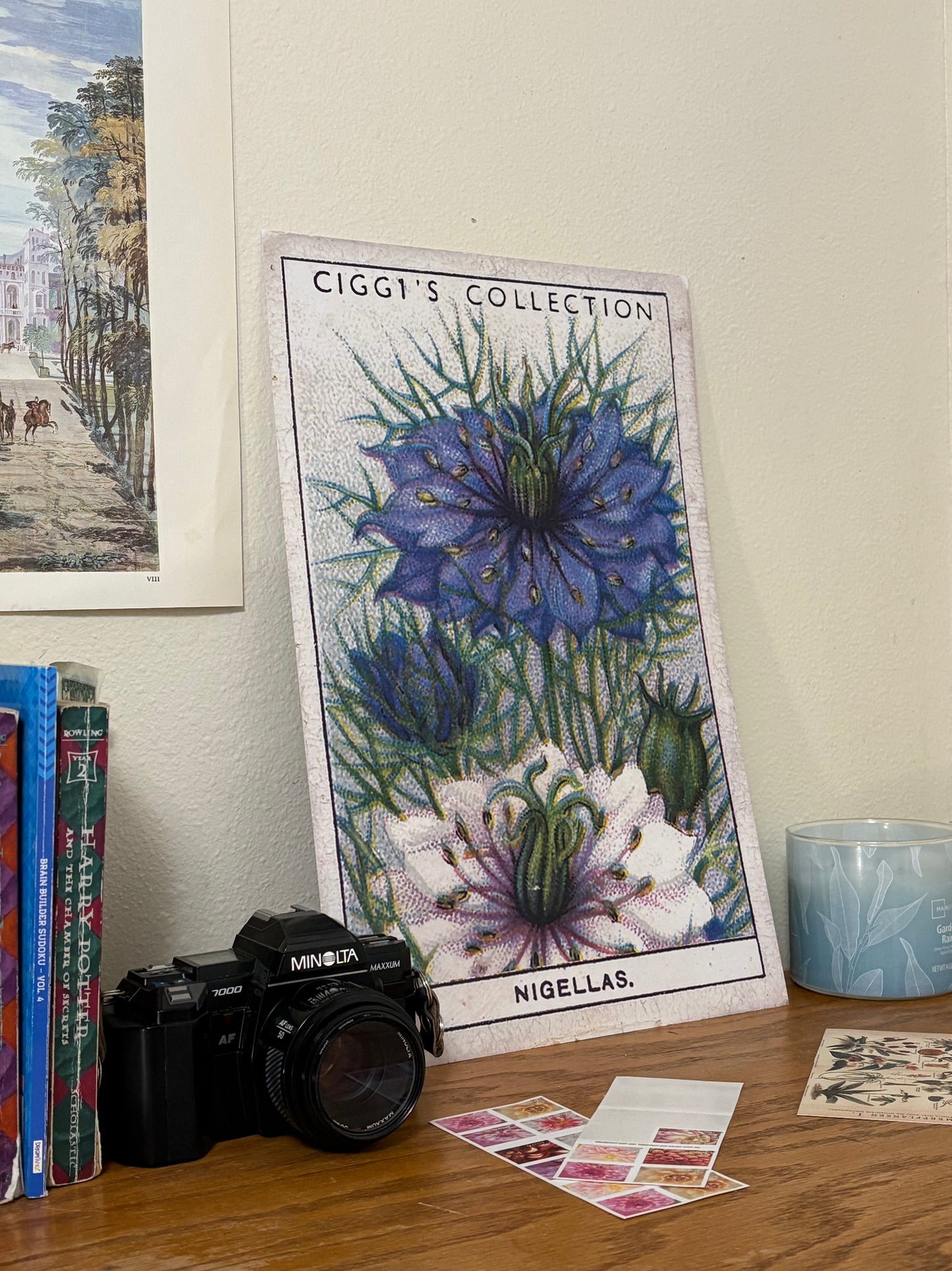 Vintage Nigella Love-in-a-Mist Print | 1930s Cigarette Card Art
