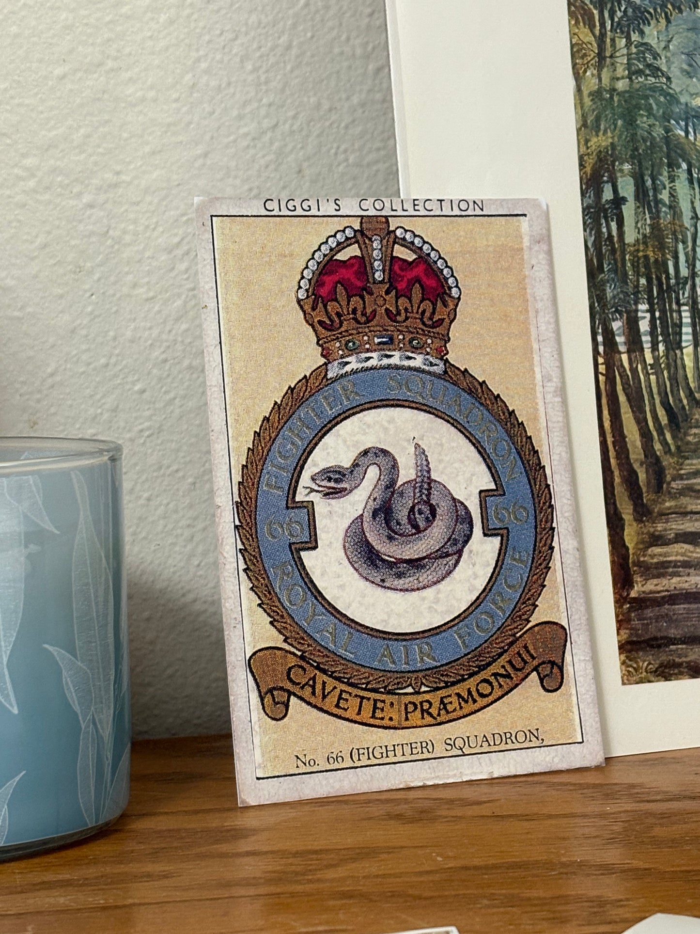 Vintage No. 66 Fighter Squadron Badge | 1930s Cigarette Card Art