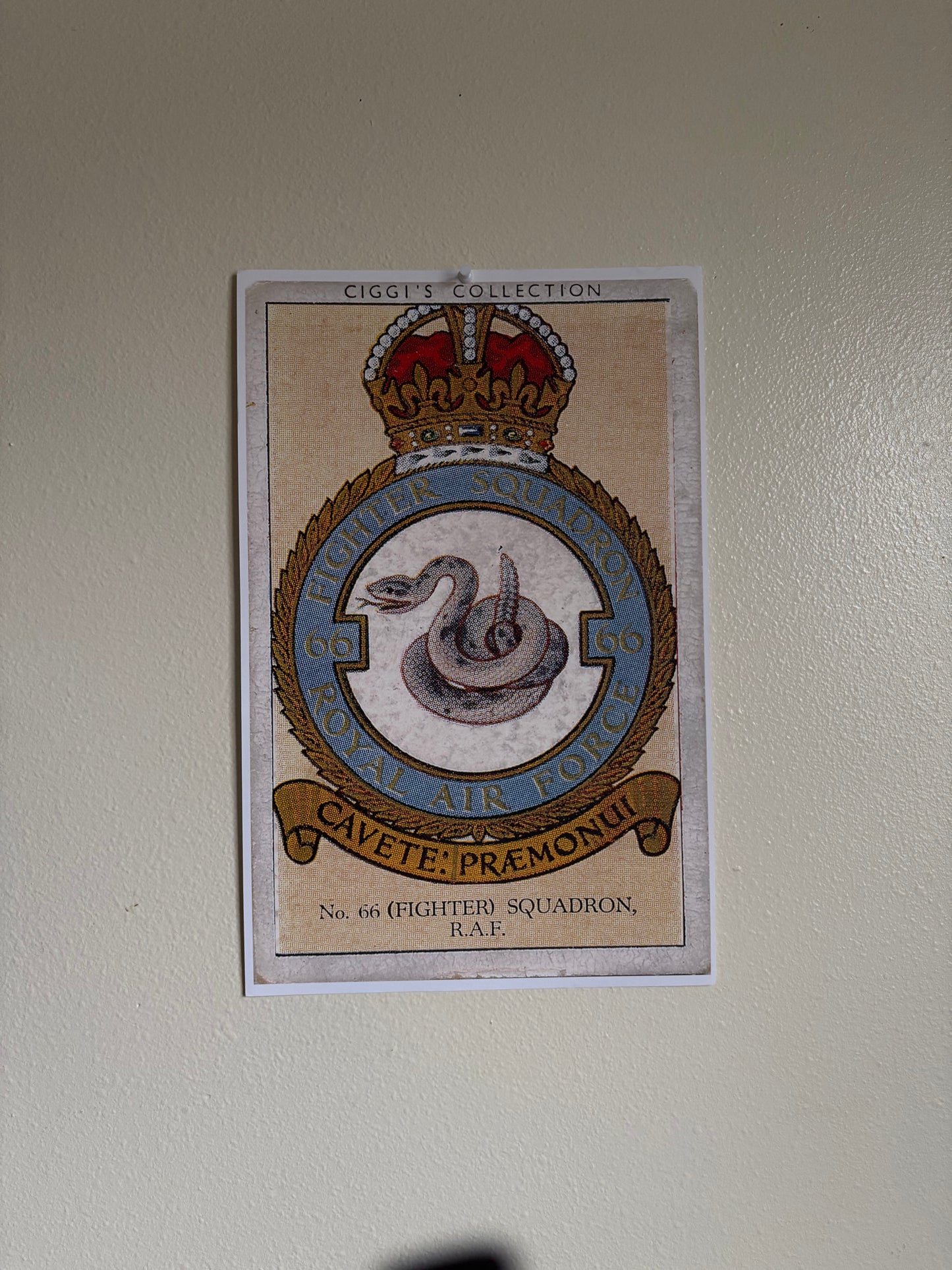 Vintage No. 66 Fighter Squadron Badge | 1930s Cigarette Card Art