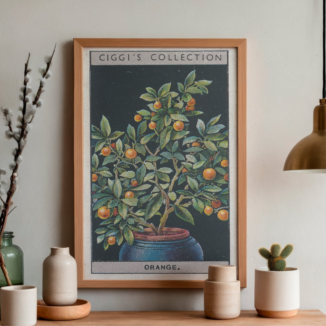 Vintage Orange Flower Print | 1930's Cigarette Card