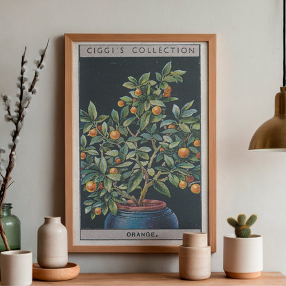 Vintage Orange Flower Print | 1930's Cigarette Card