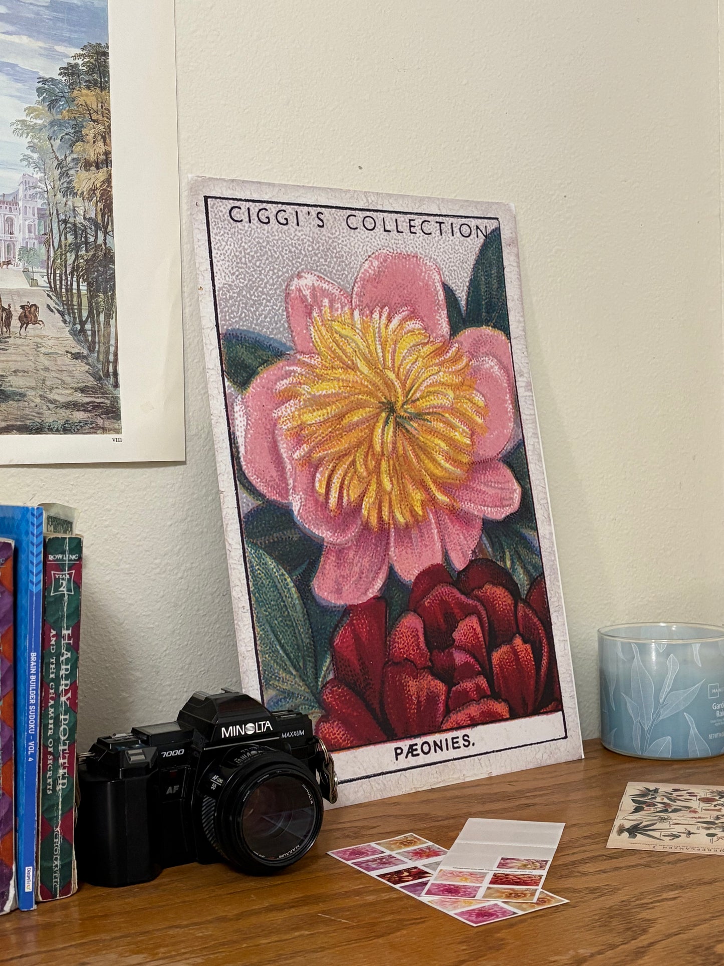 Vintage Peonies Flower Print | 1930s Cigarette Card Art