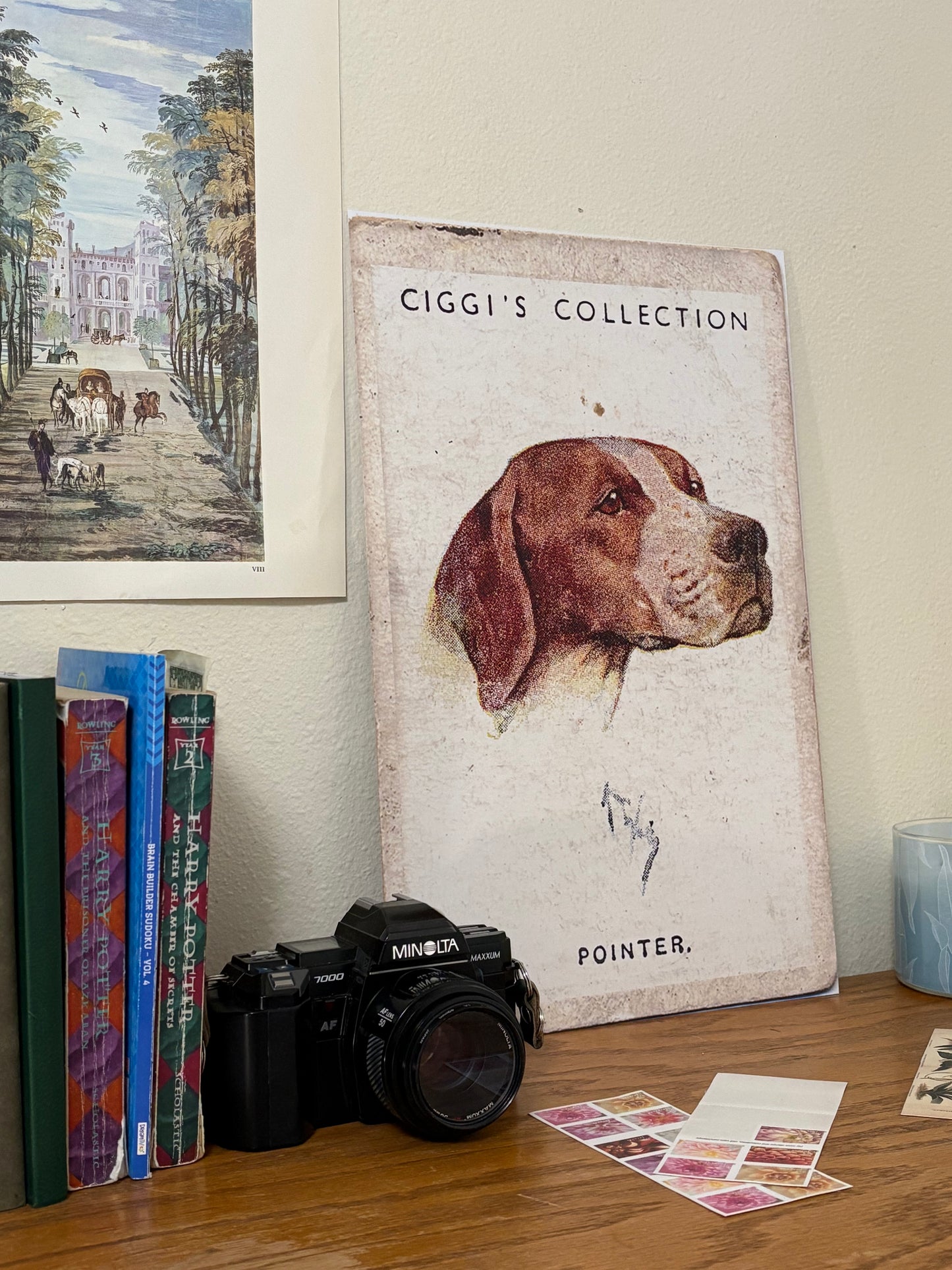 Vintage Pointer Dog Print | 1930s Cigarette Card Art