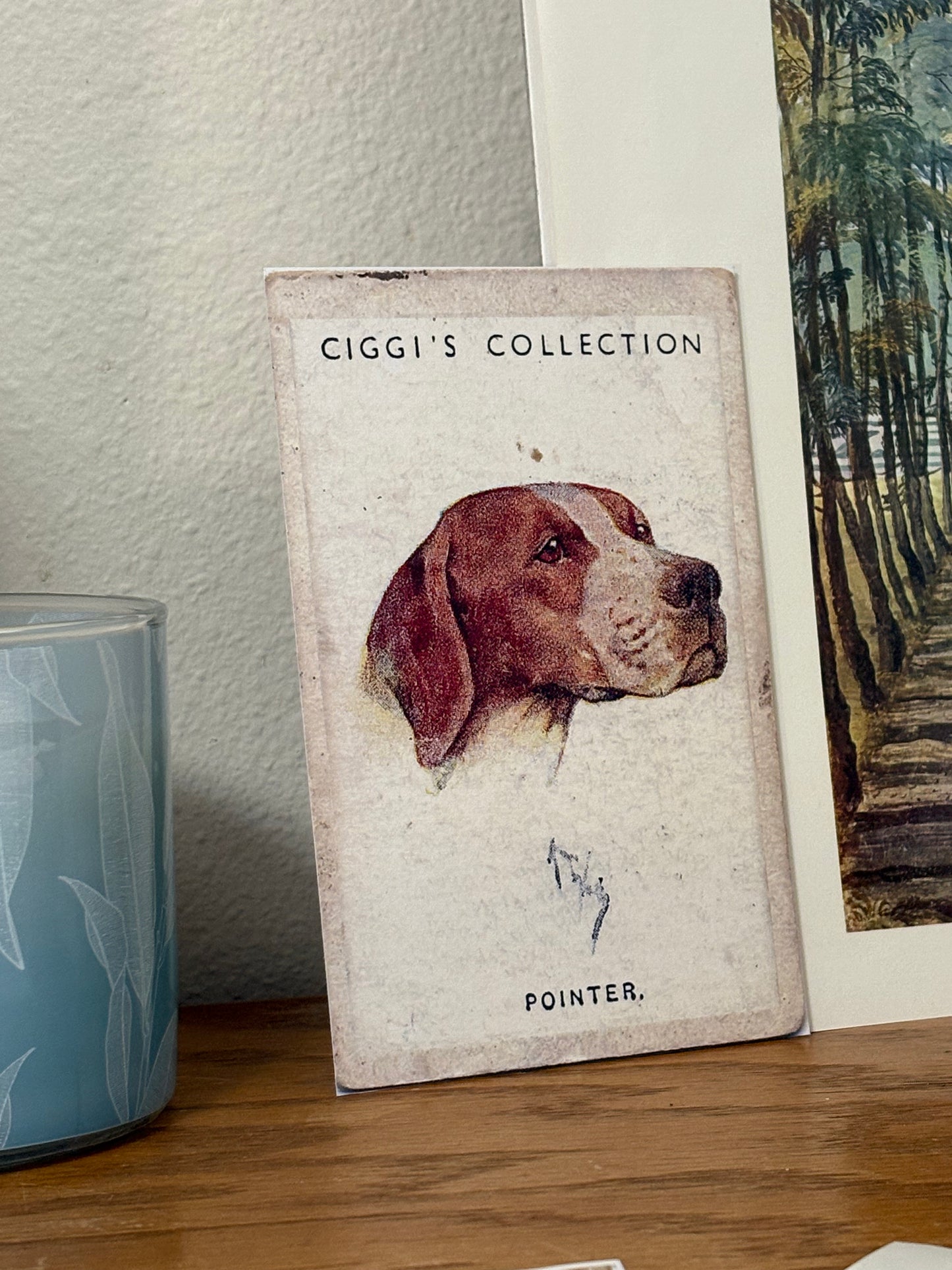 Vintage Pointer Dog Print | 1930s Cigarette Card Art