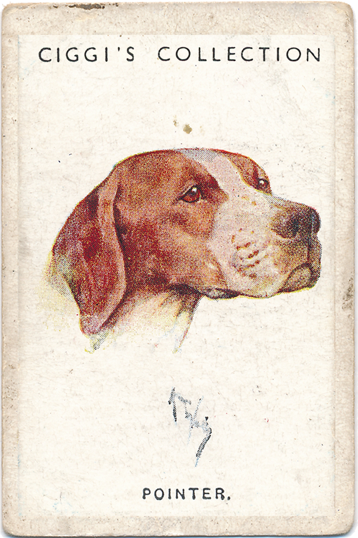 Dog Posters