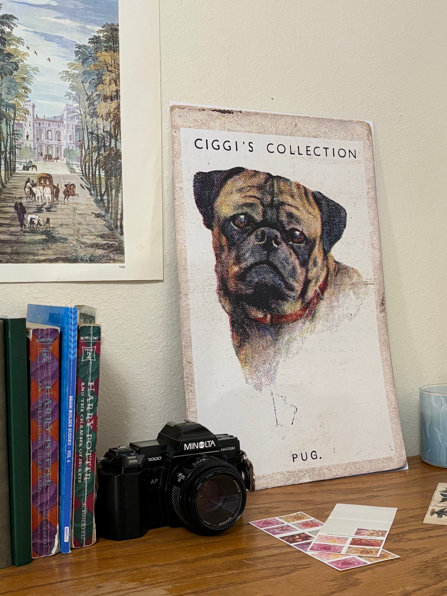 Vintage Pug Dog Print | 1930s Cigarette Card Art