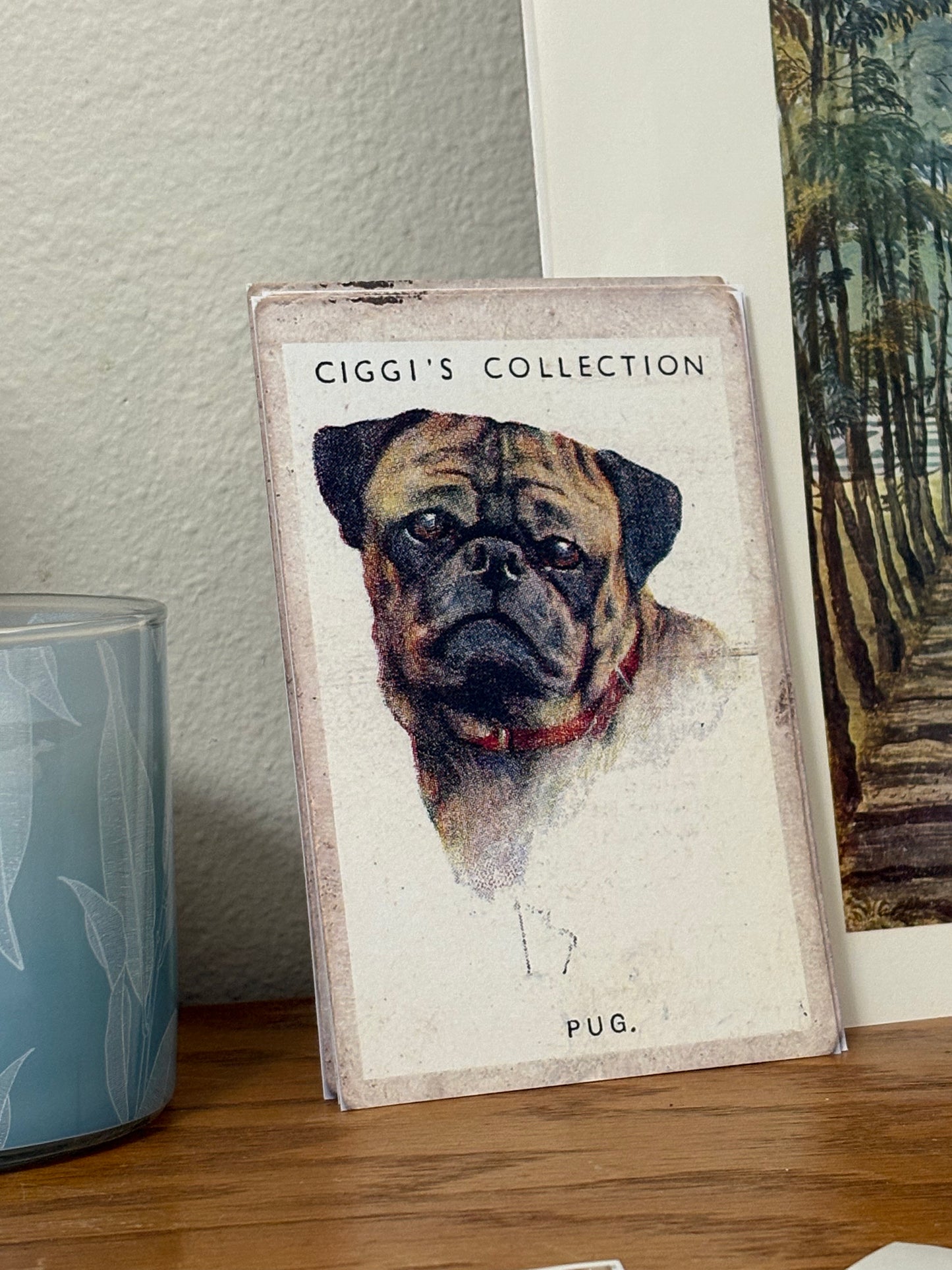 Vintage Pug Dog Print | 1930s Cigarette Card Art
