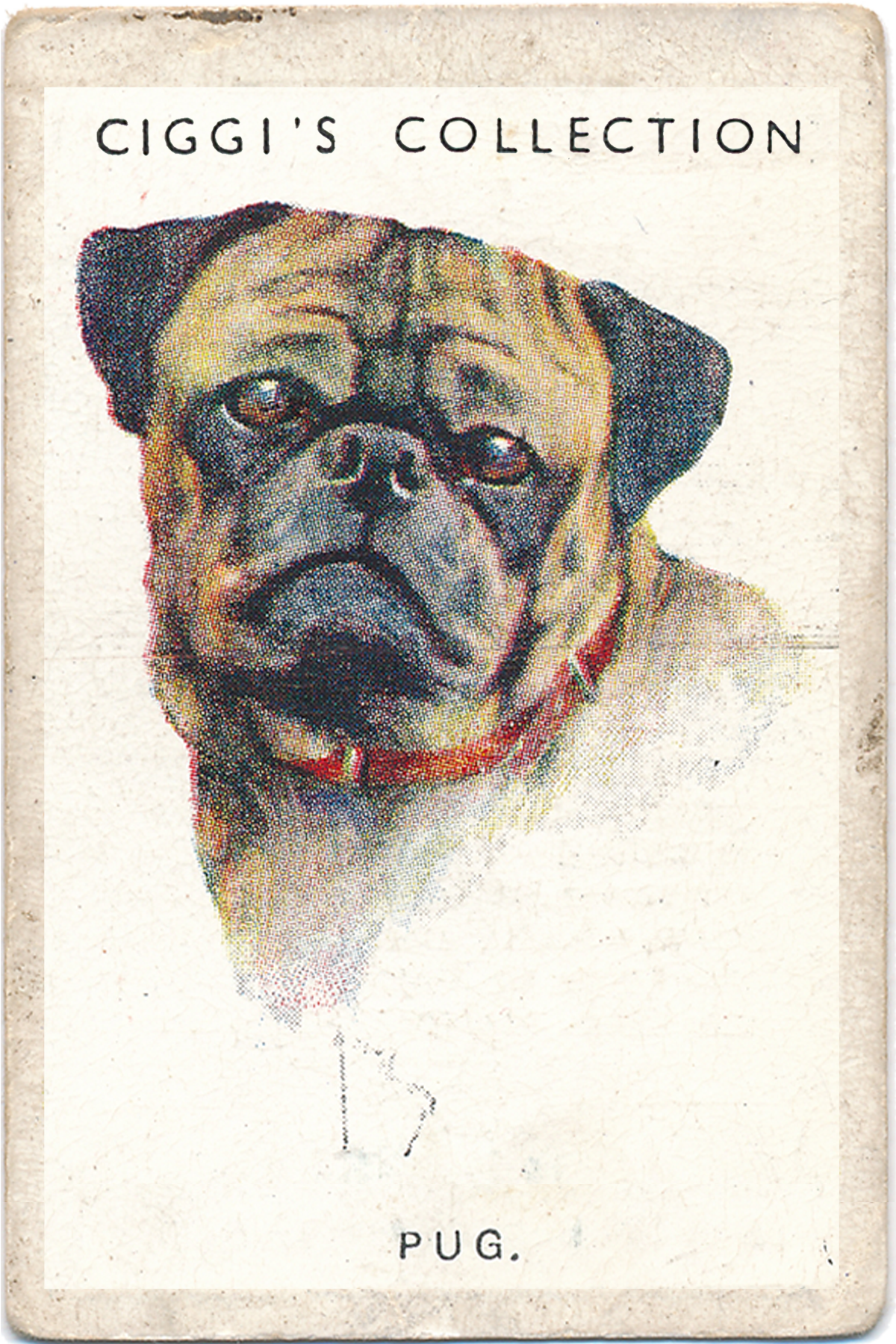 Dog Posters