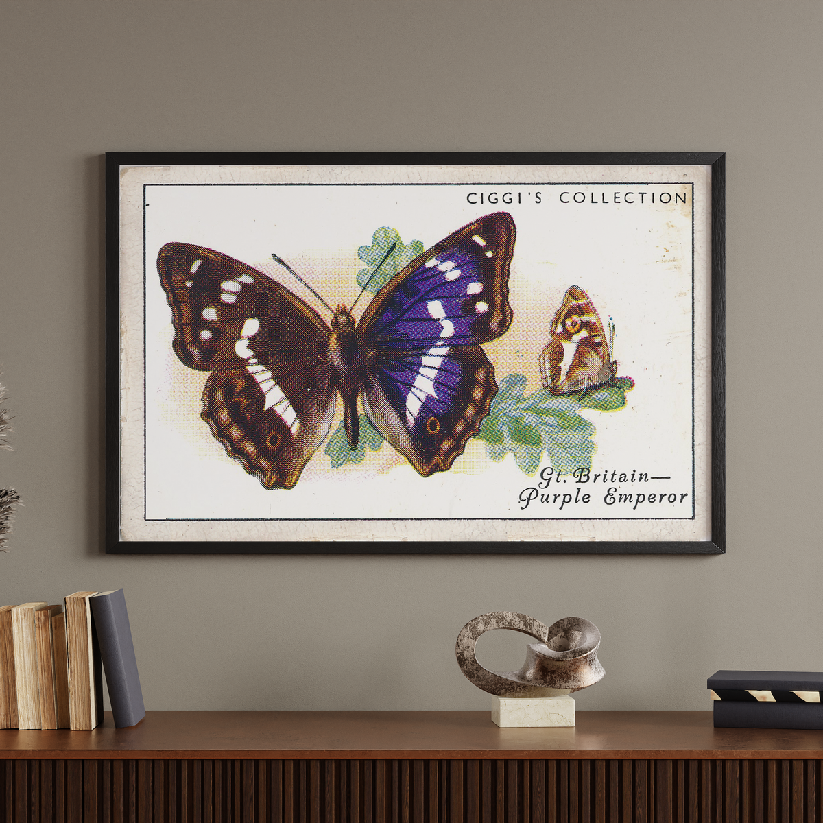 Vintage Purple Emperor Butterfly Print | 1930s Cigarette Card Art