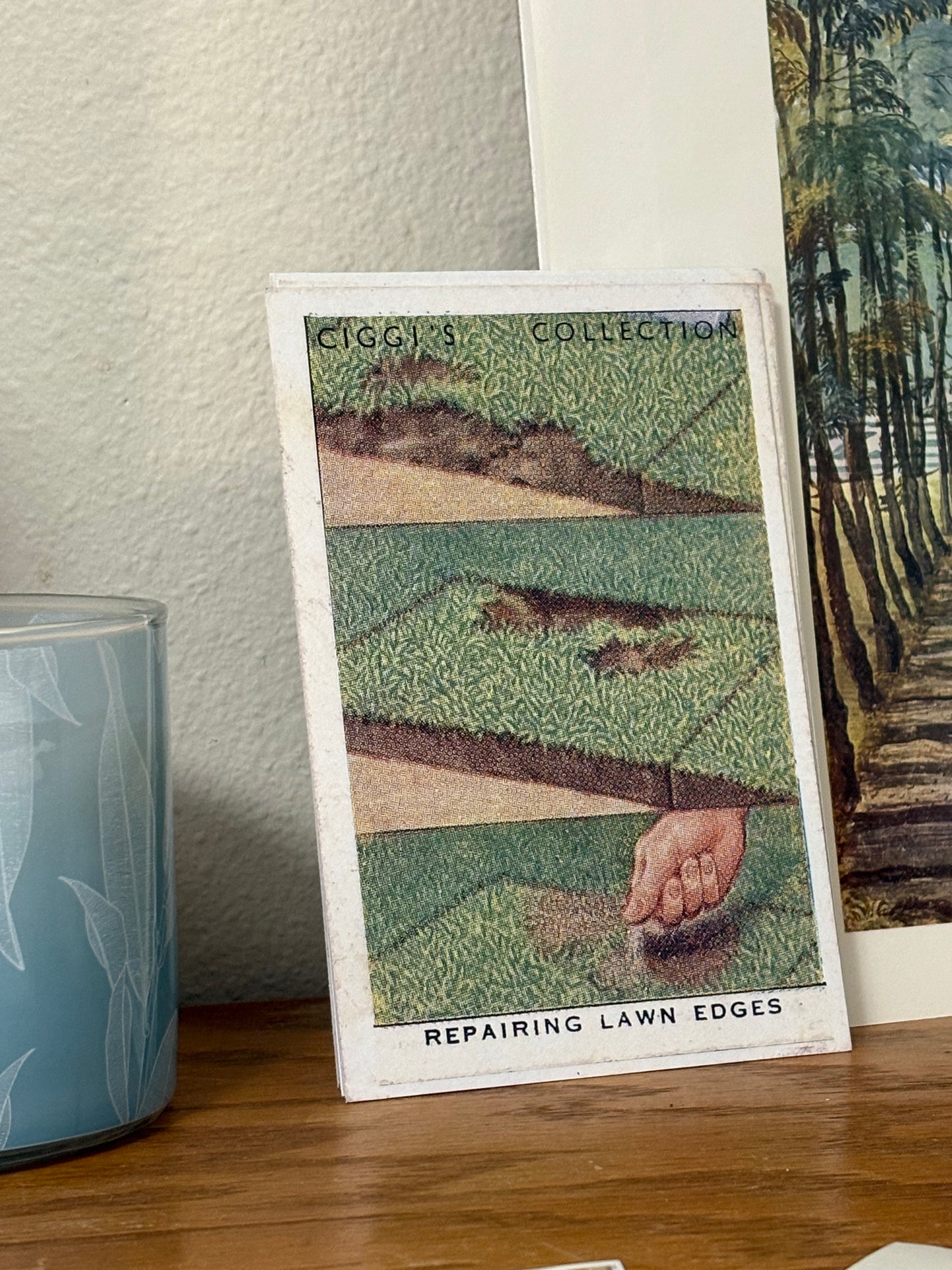 Vintage Repairing Lawn Edges Garden Hint | 1930s Cigarette Card Art