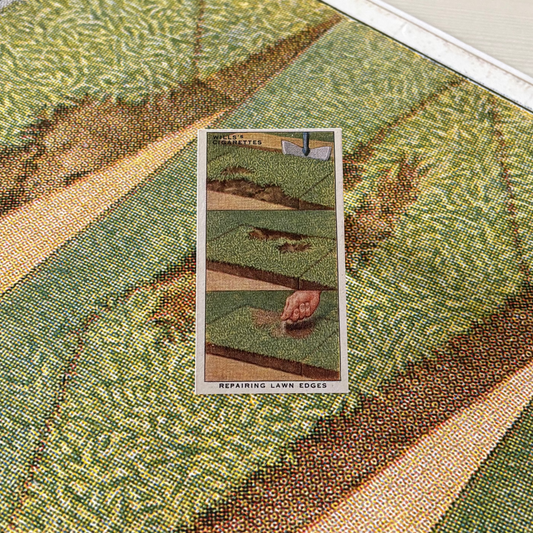 Vintage Repairing Lawn Edges Garden Hint | 1930s Cigarette Card Art