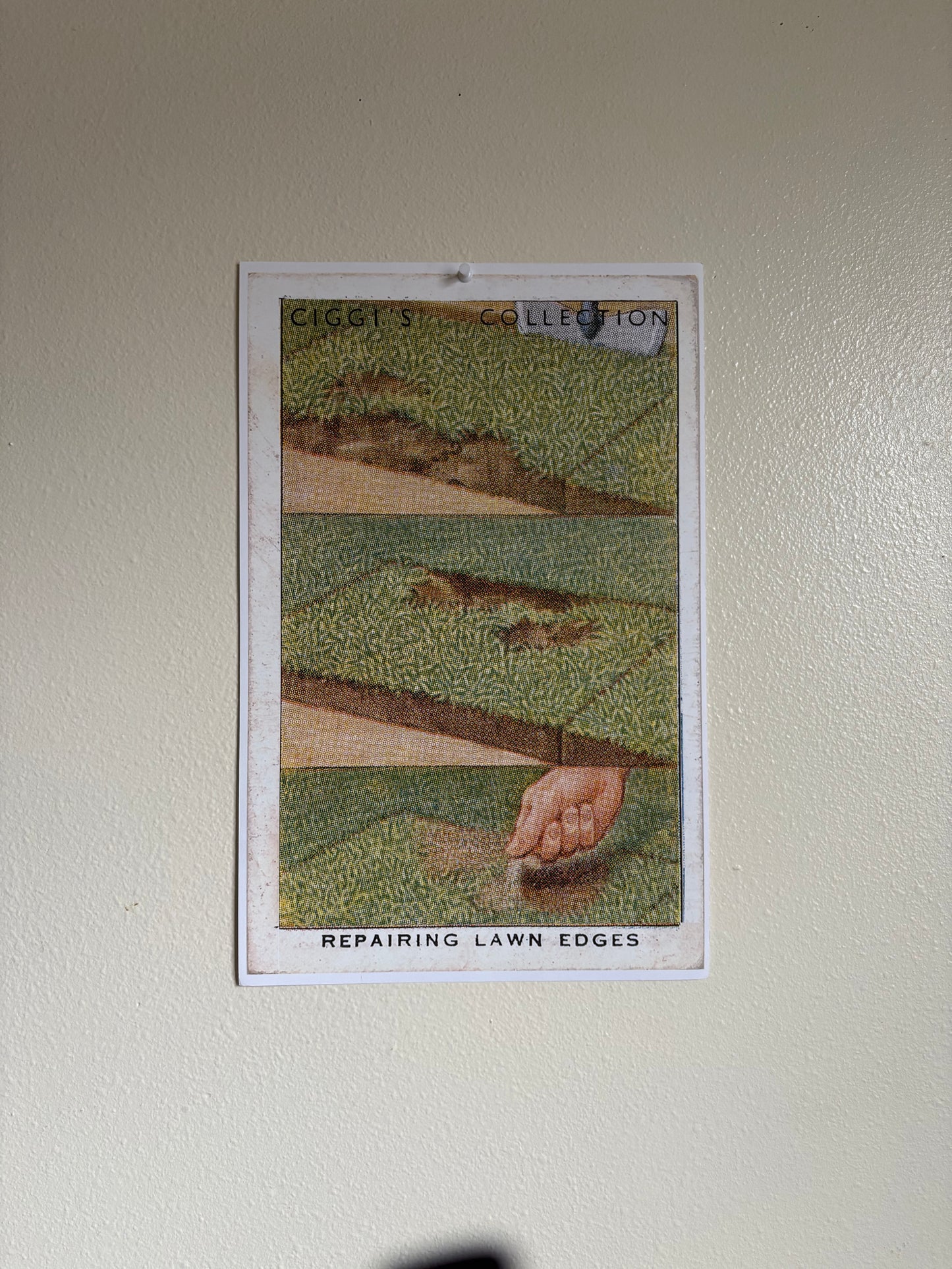 Vintage Repairing Lawn Edges Garden Hint | 1930s Cigarette Card Art