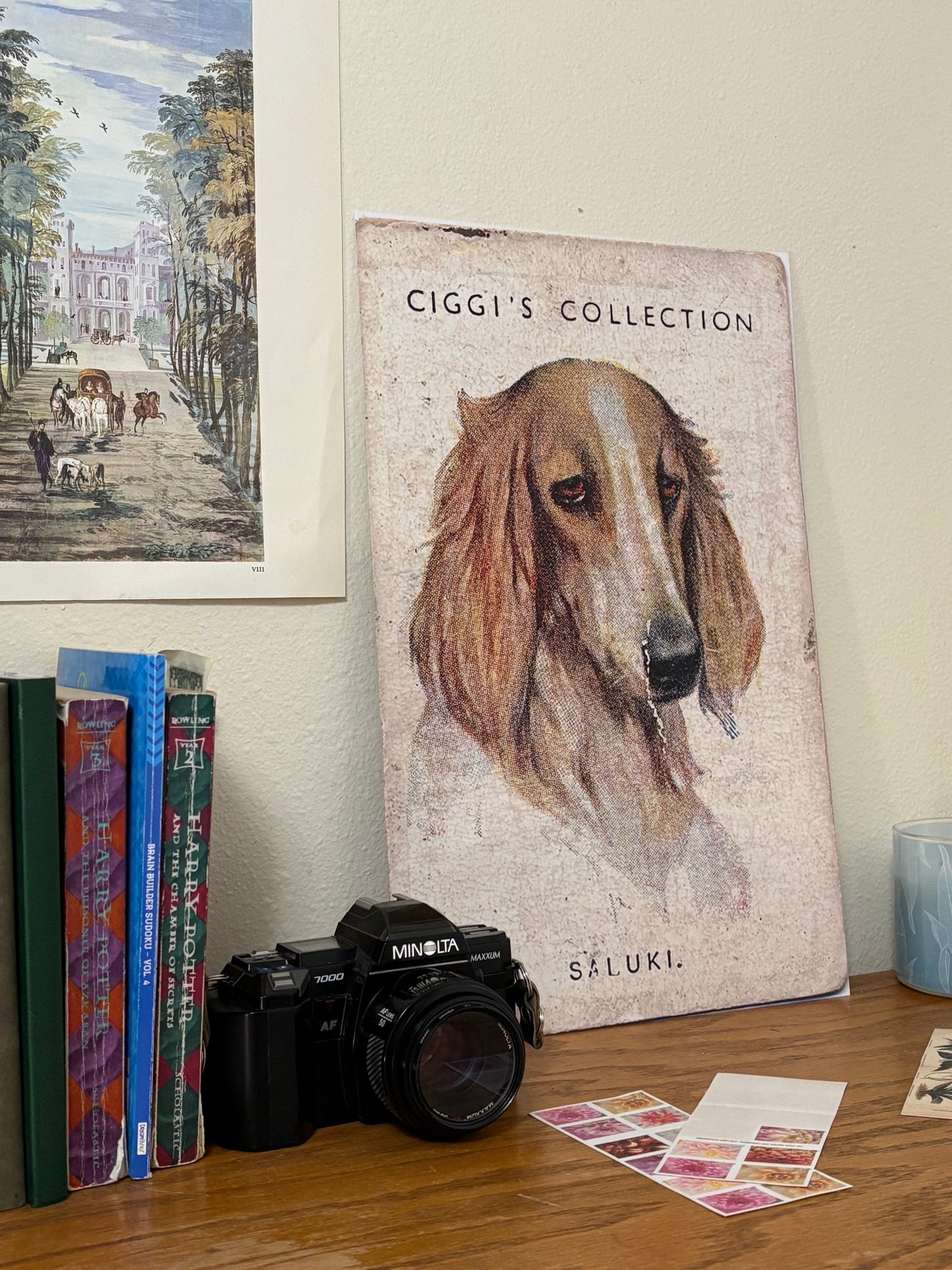 Vintage Saluki Dog Print | 1930s Cigarette Card Art