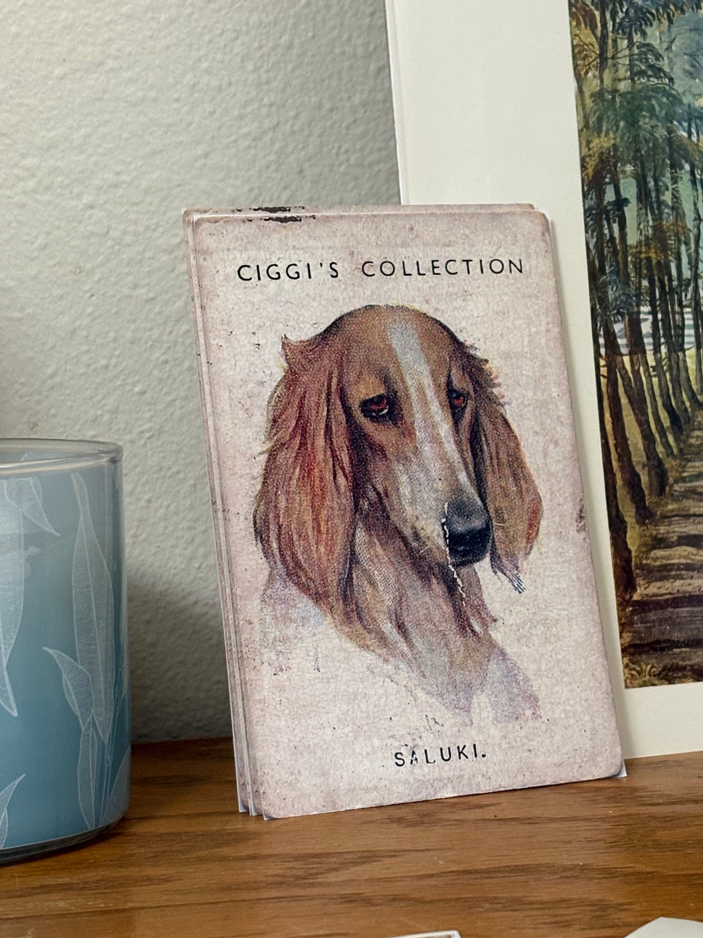 Vintage Saluki Dog Print | 1930s Cigarette Card Art