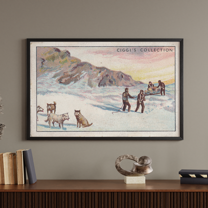 Vintage Shackeltons Expedition Print | 1930's Cigarette Card