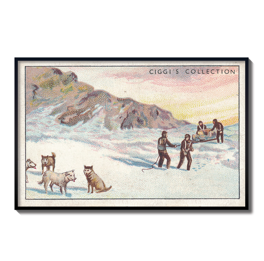 Vintage Shackeltons Expedition Print | 1930's Cigarette Card