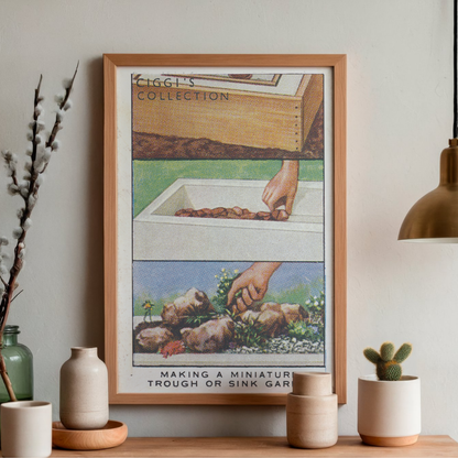 Vintage Sink Garden Hint | 1930s Cigarette Card Art