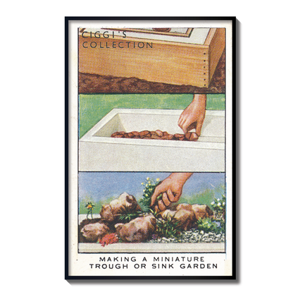 Vintage Sink Garden Hint | 1930s Cigarette Card Art