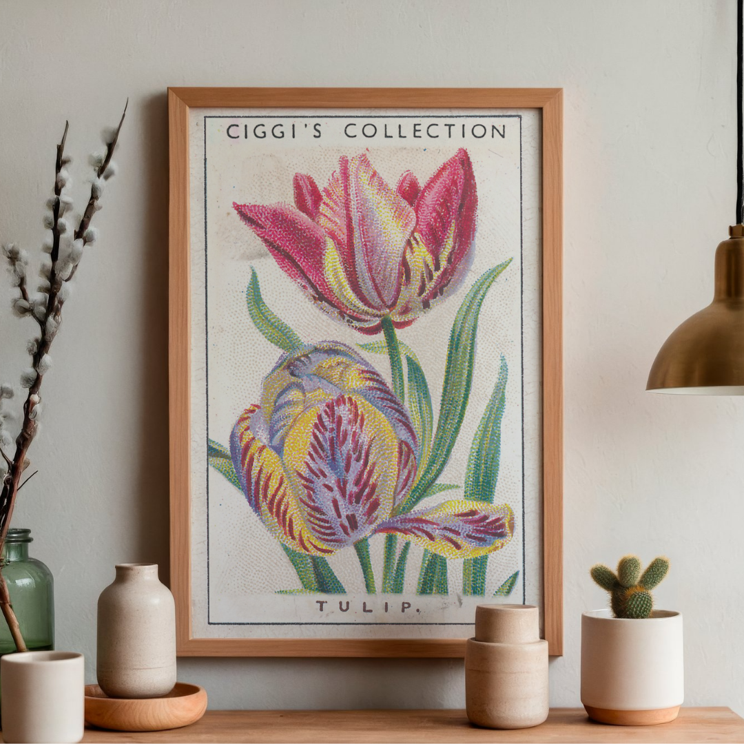 Vintage Tulip Flower Print | 1930's Cigarette Card